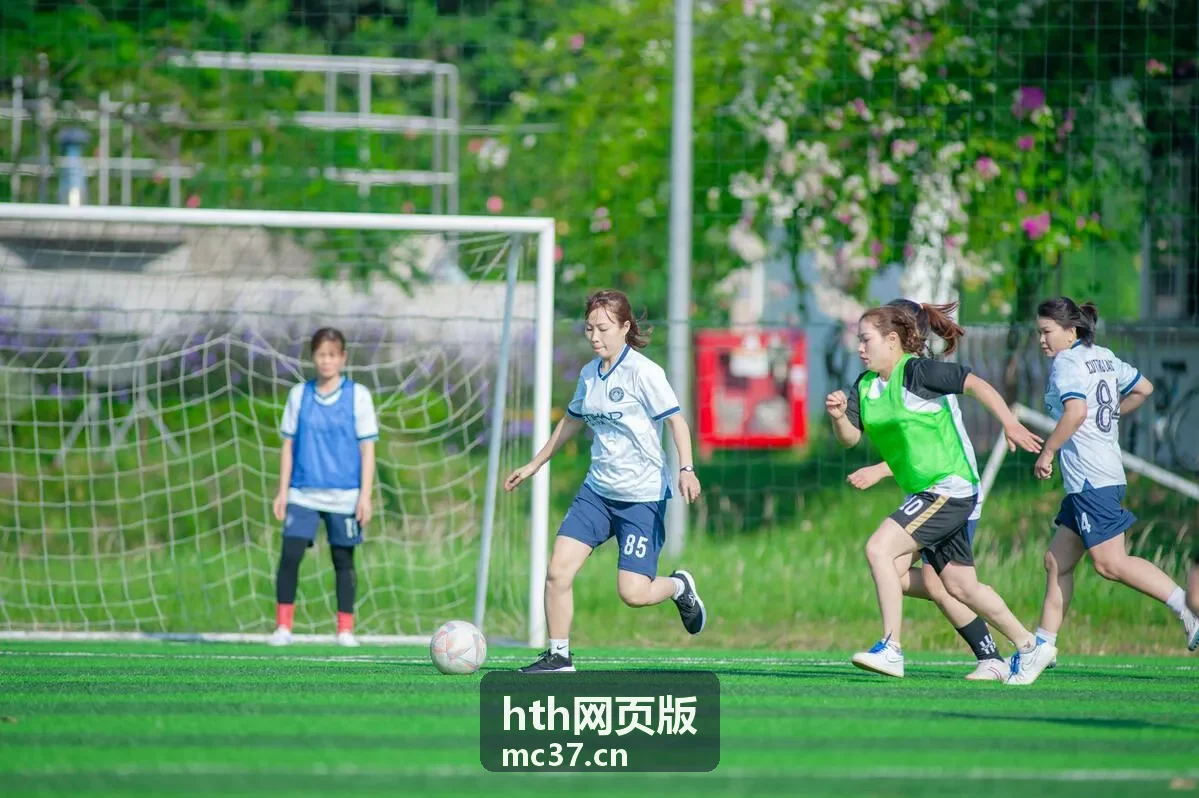 hth网页版开放接口与现有系统对接示意